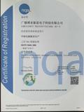 ISO/TS16949:2009-中文